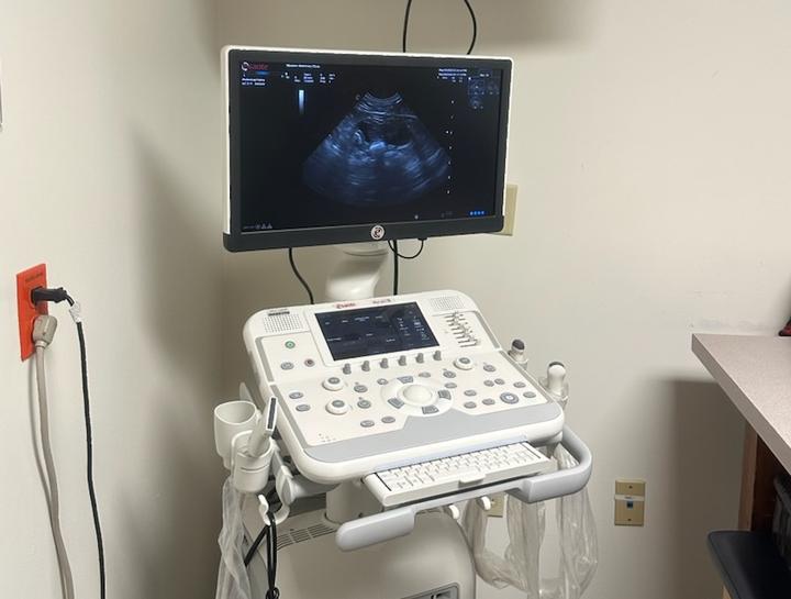 Pet Ultrasound