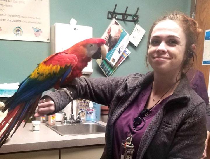 Vet center for 2024 birds and exotics