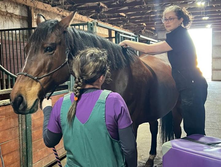 Mobile veterinarians