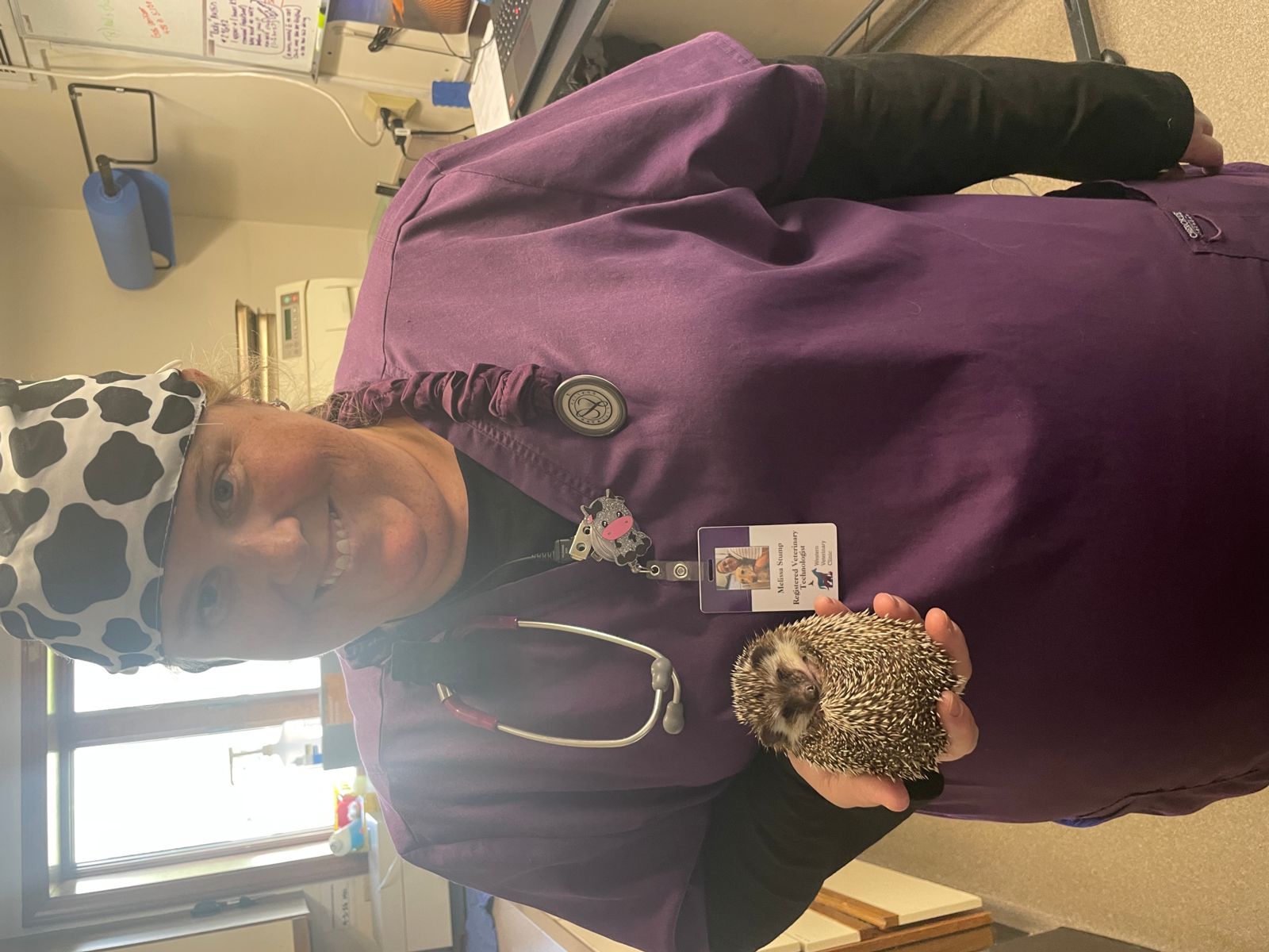 South Bend Veterinarians